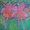 Red Fuchsia