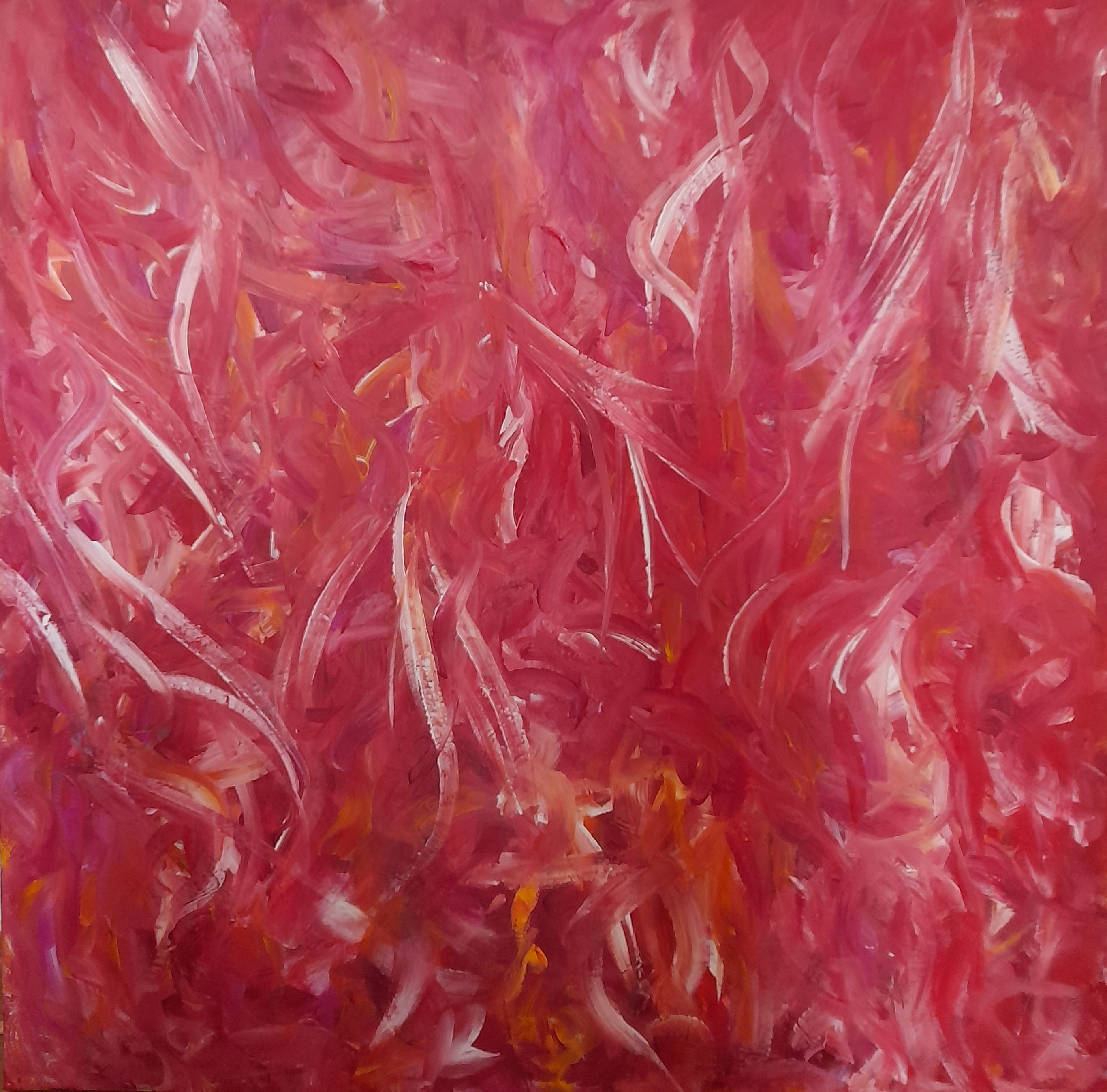 Fuschia Fantasy