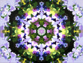 Fantasy in Lavender - Psychedelic Kaleidoscope mandala art