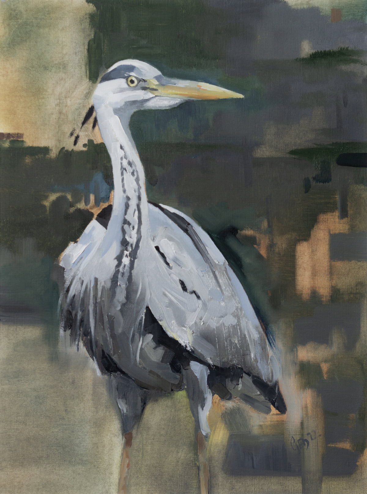Great Blue Heron