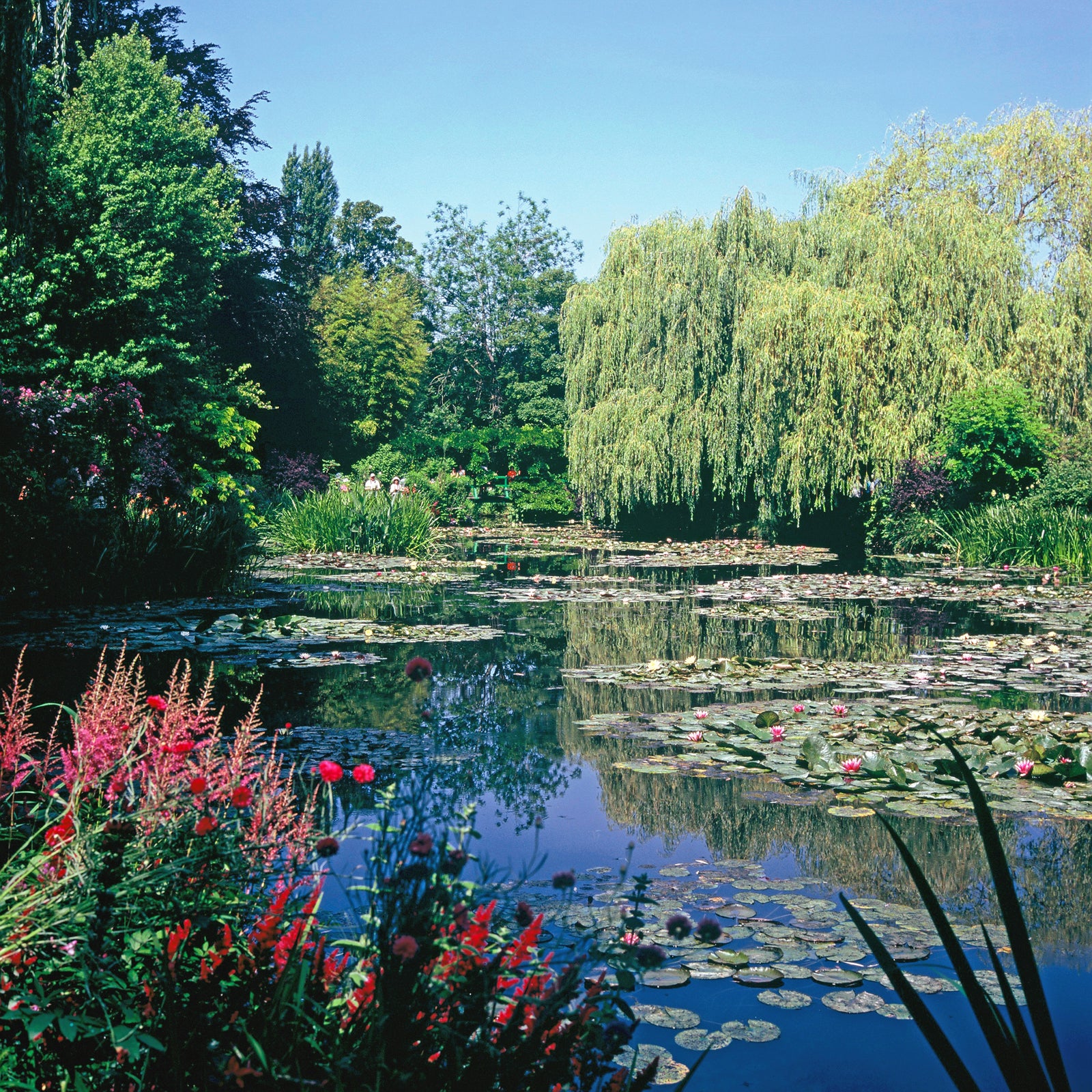Summer water garden at Giverny