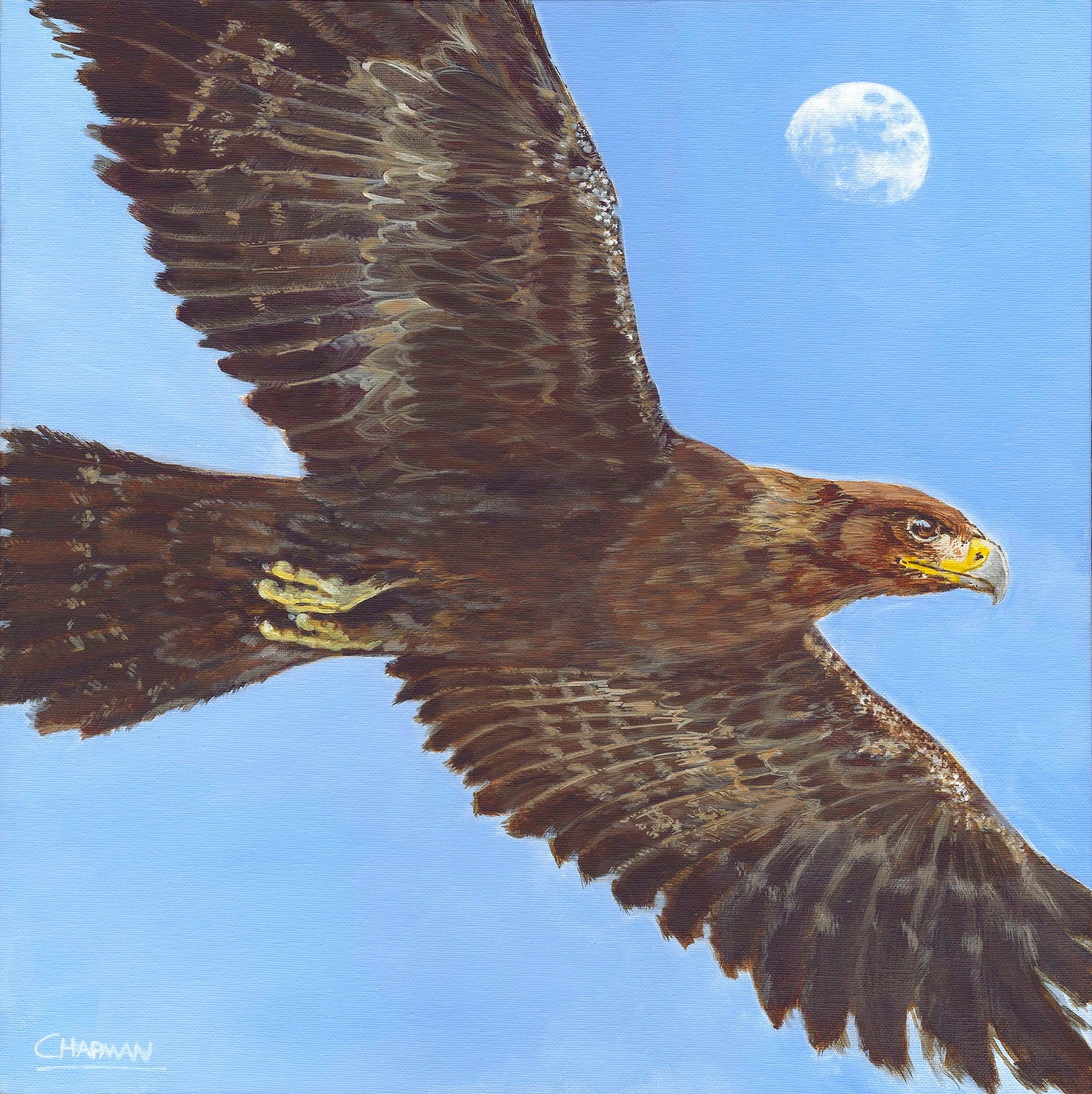Eagle