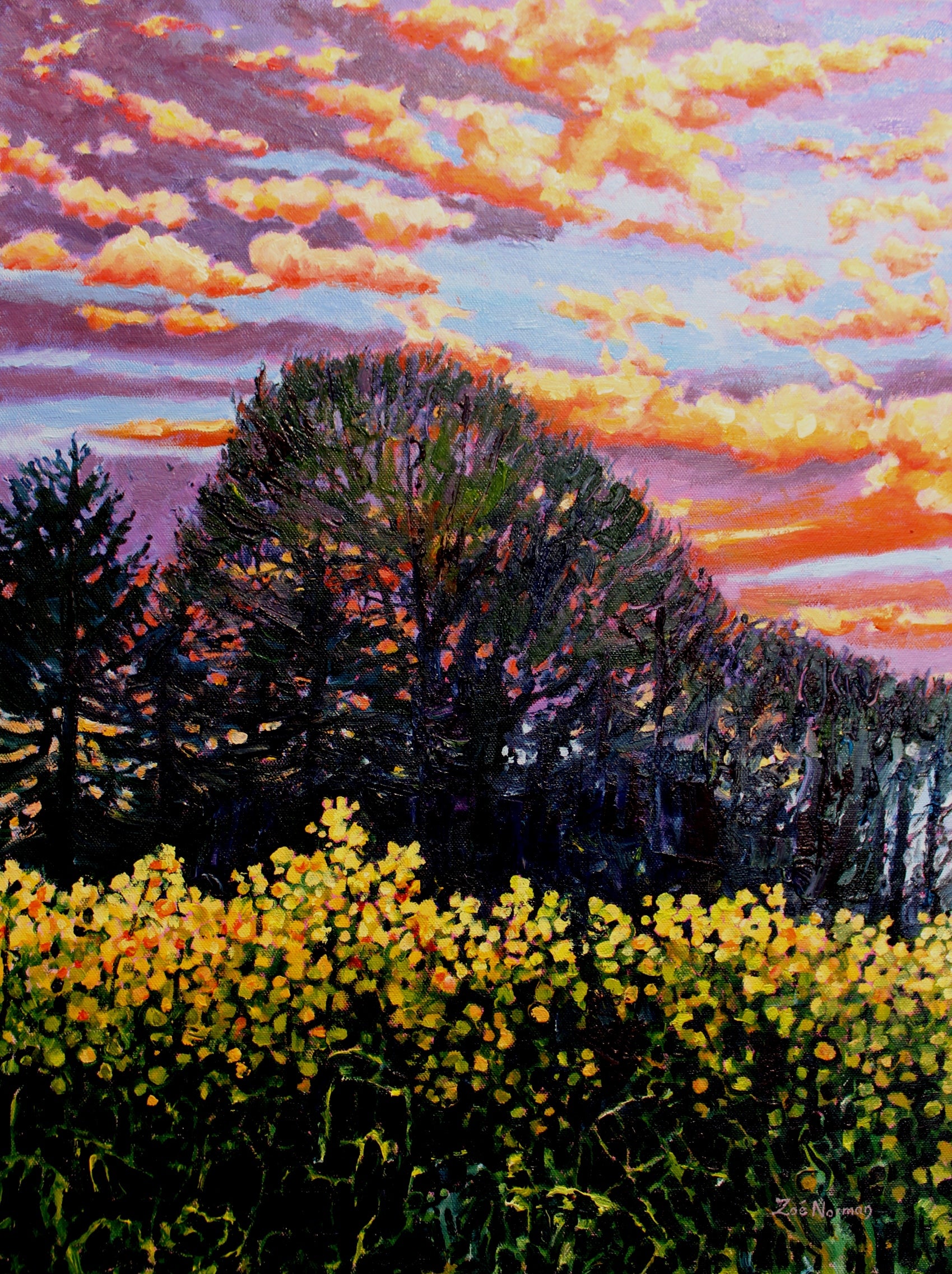 Golden Evening