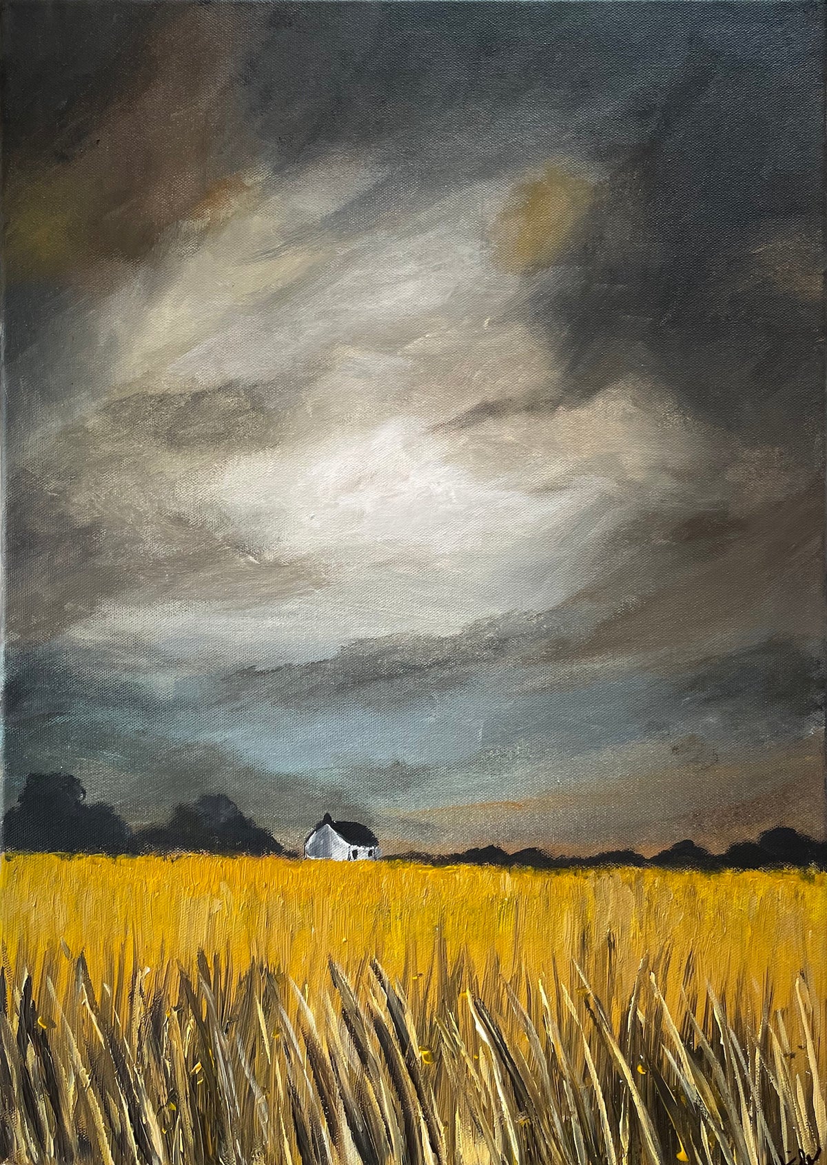 Rich Golden Fields