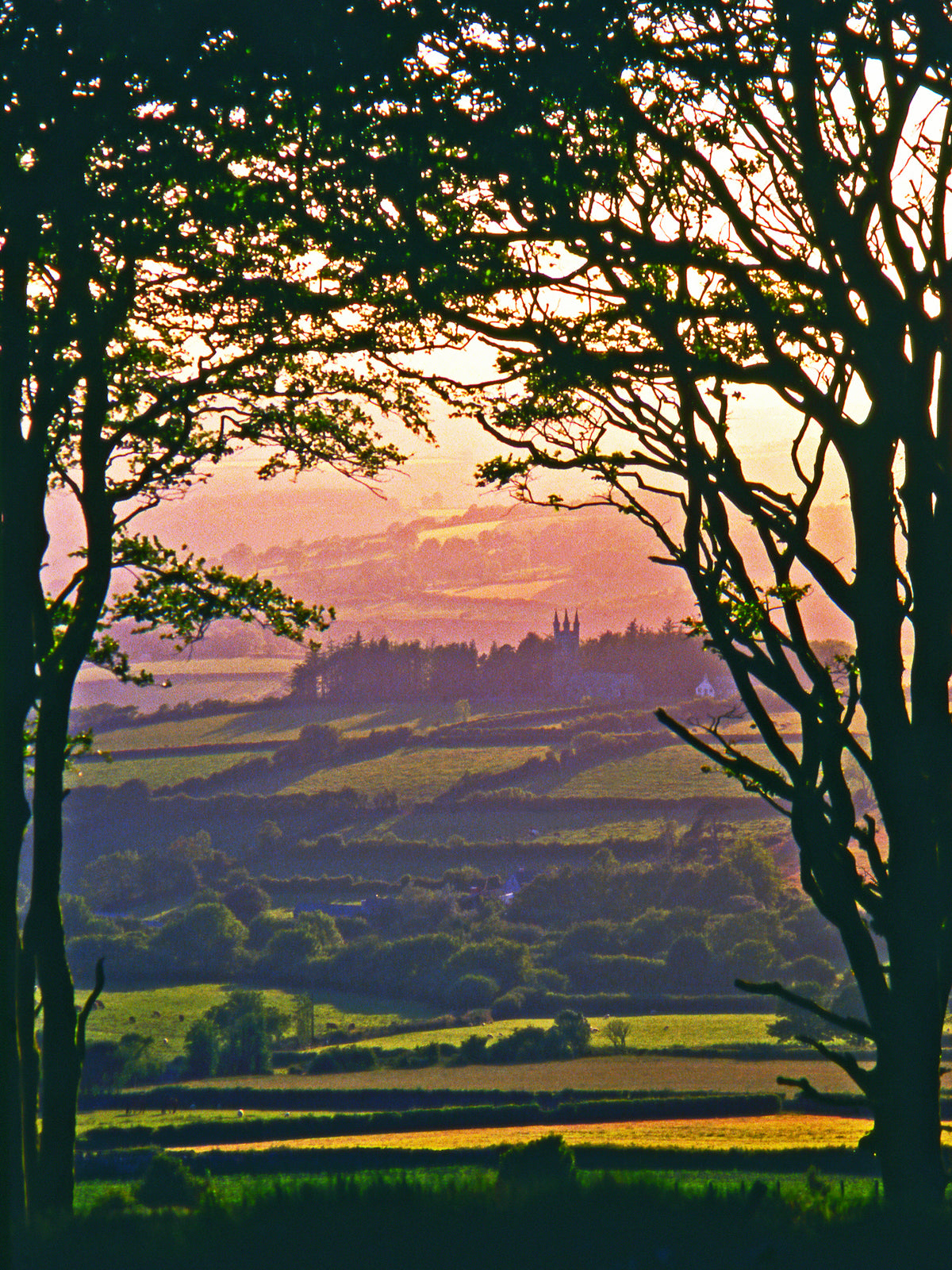 Golden Hour, Devon