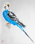 Grandma's budgie + free poem (on canvas).