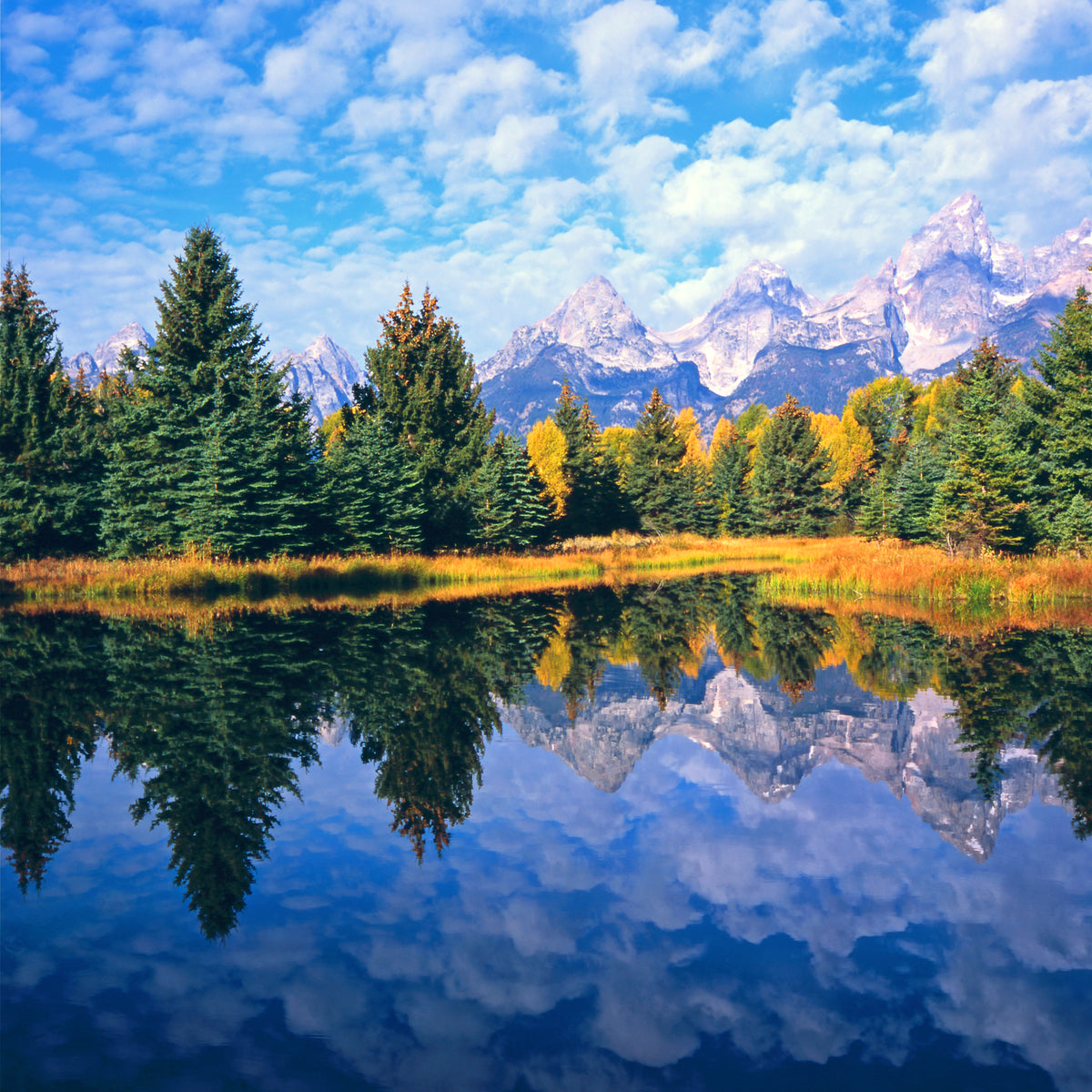 Grand Teton Reflections