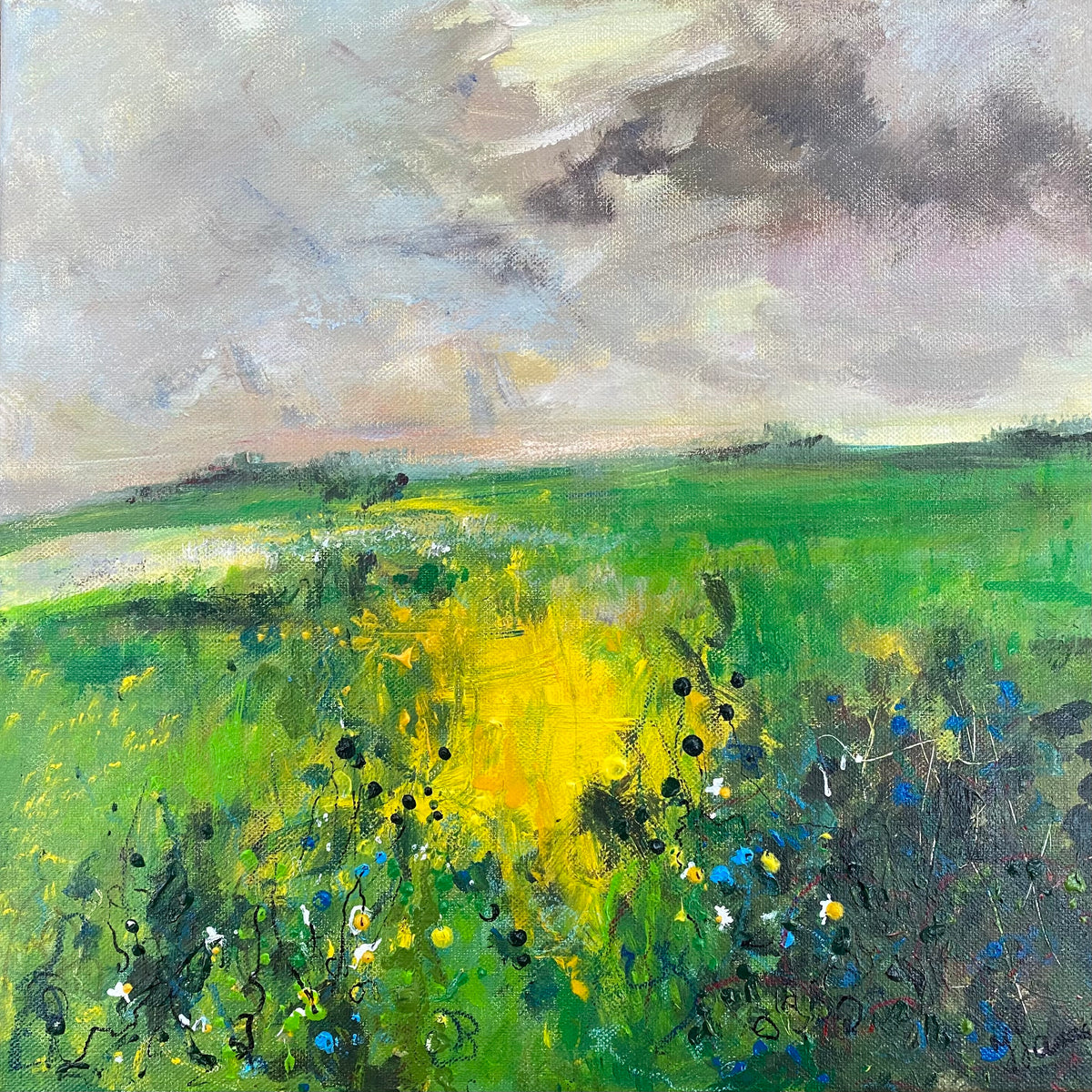 Green Fields under stormy skies