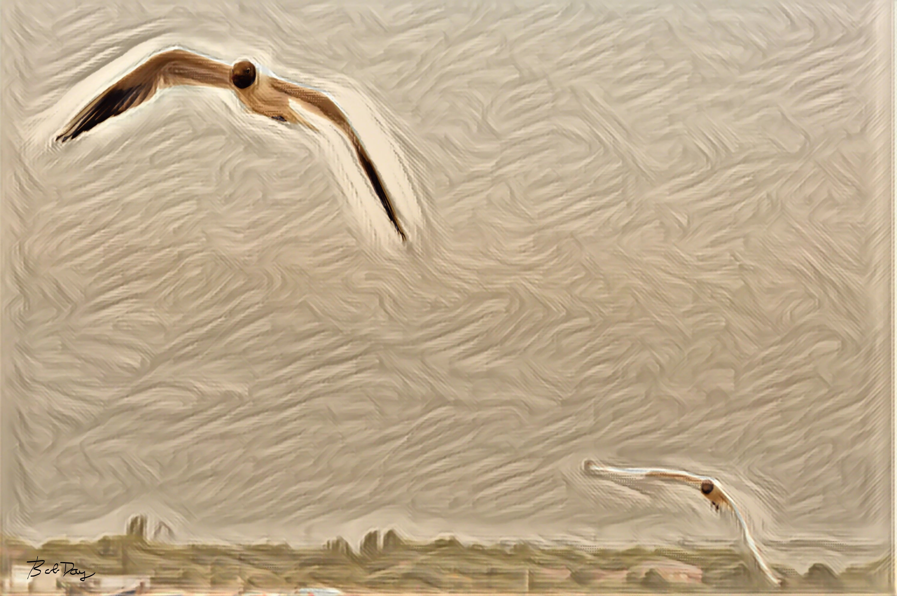 Seagulls in Flight