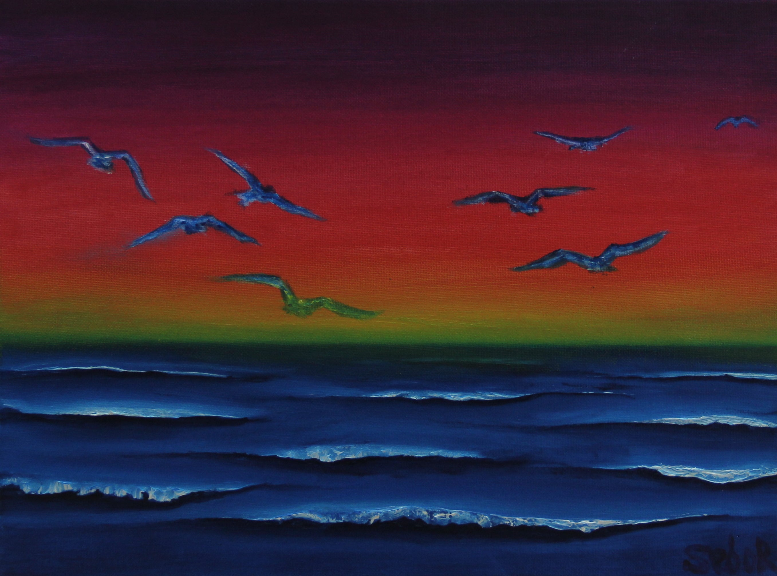 Gulls