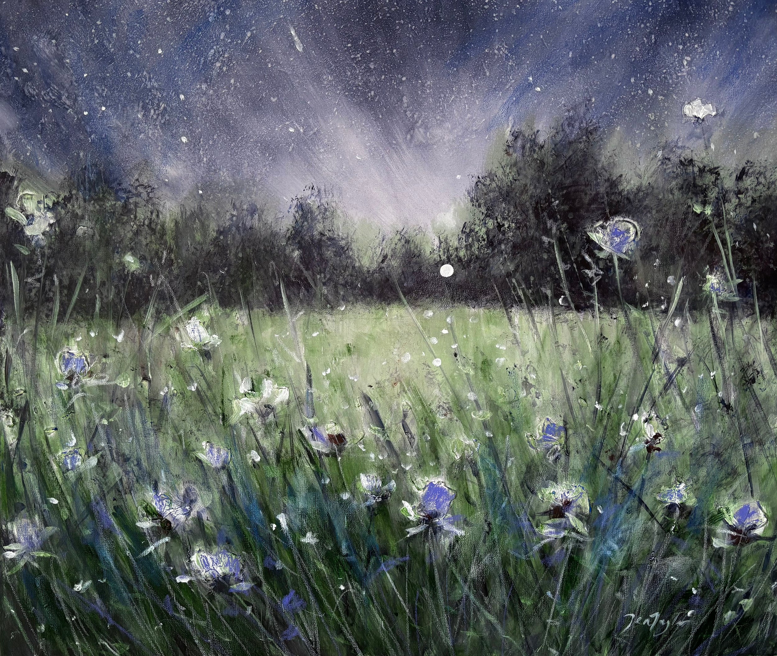 A Dream Under The Stars