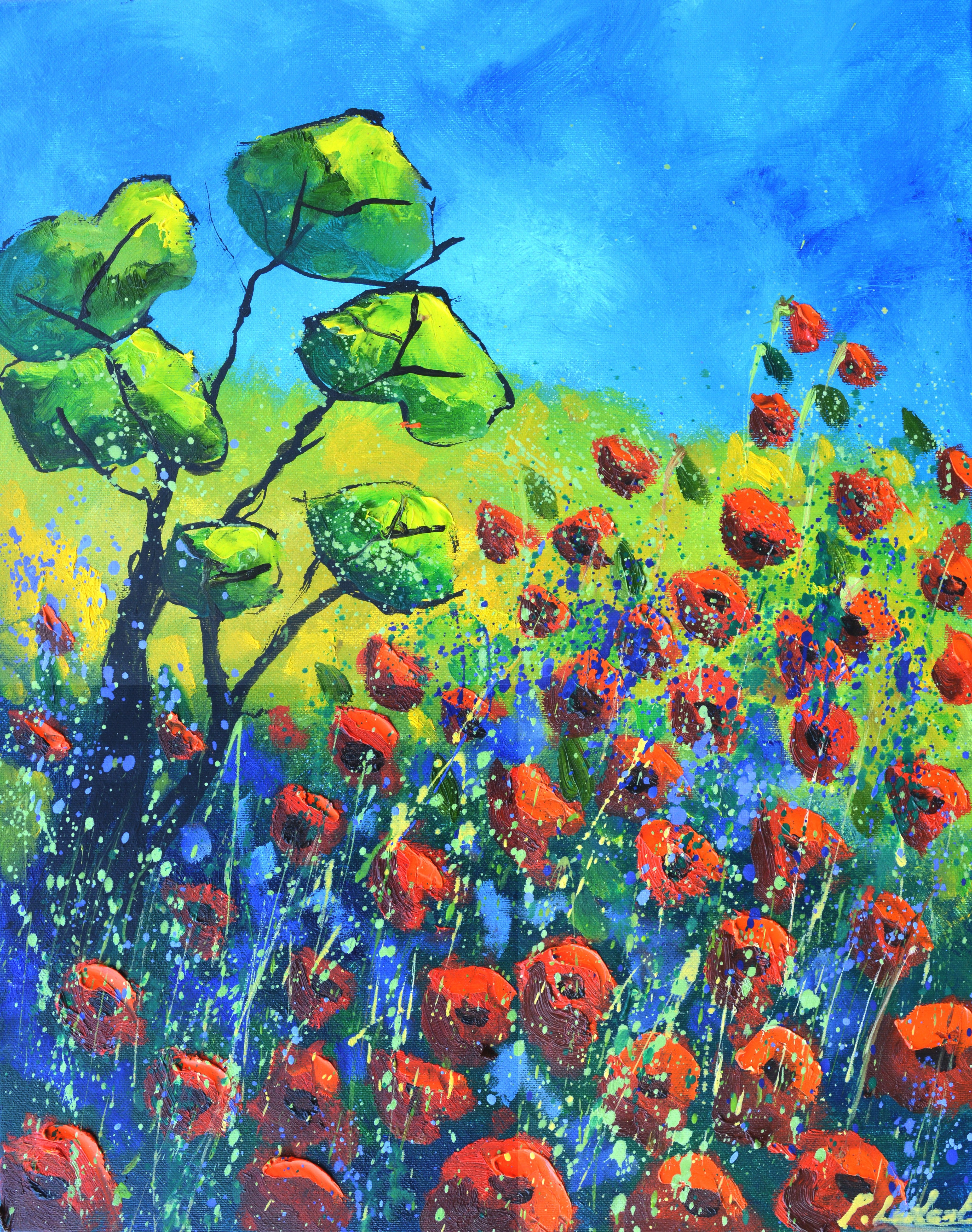 Red poppies in Provence
