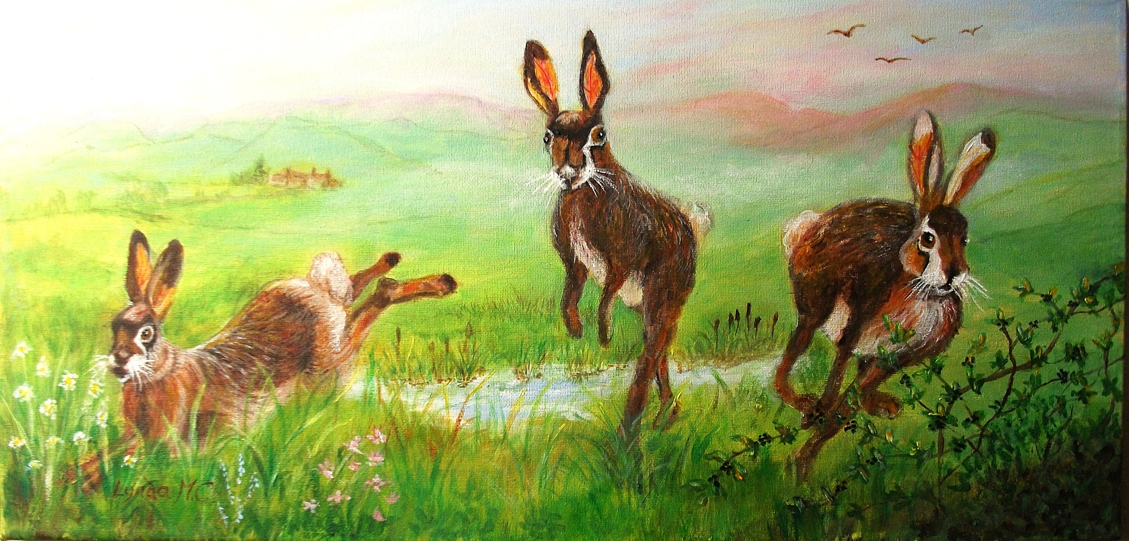 A GOOD HARE DAY