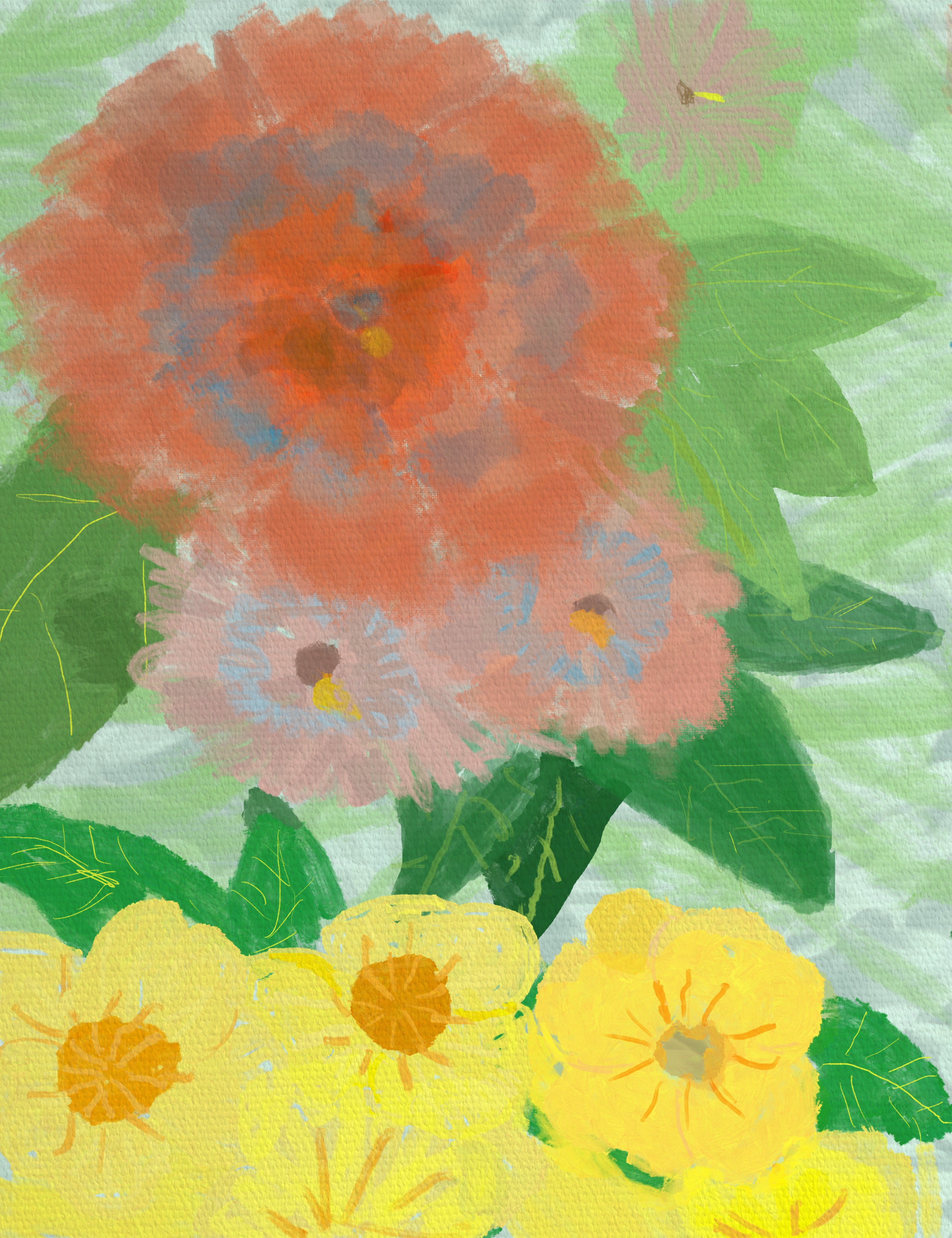 Hibiscus Primrose