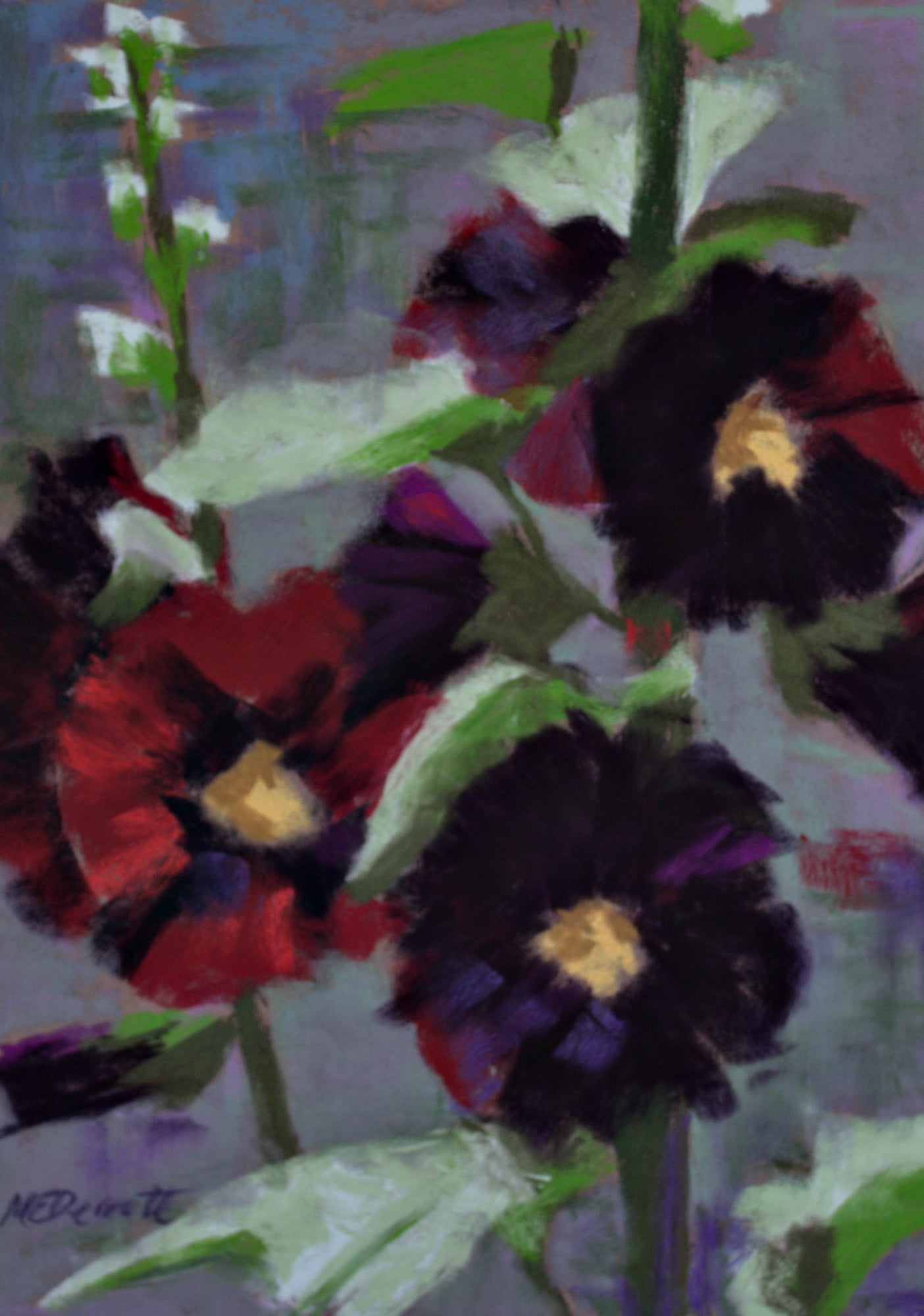 Hollyhocks