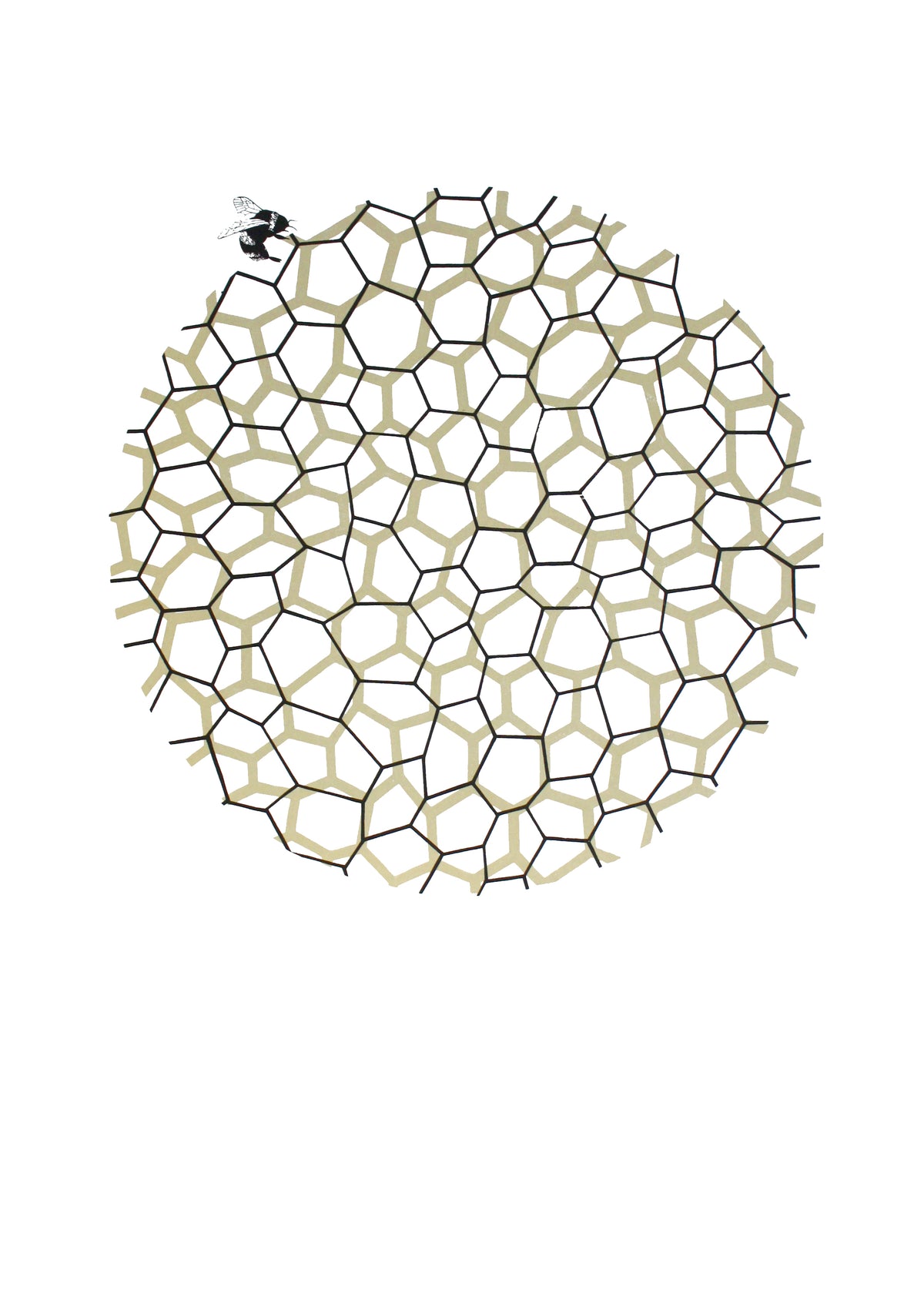 Patterns of Nature #2 Honeycomb