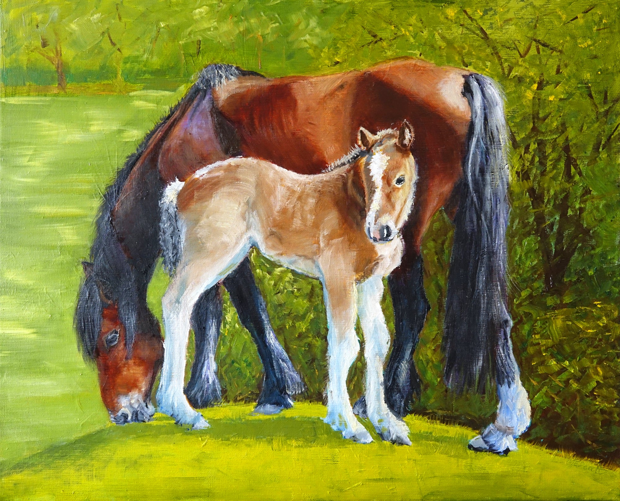 Horse and Foal