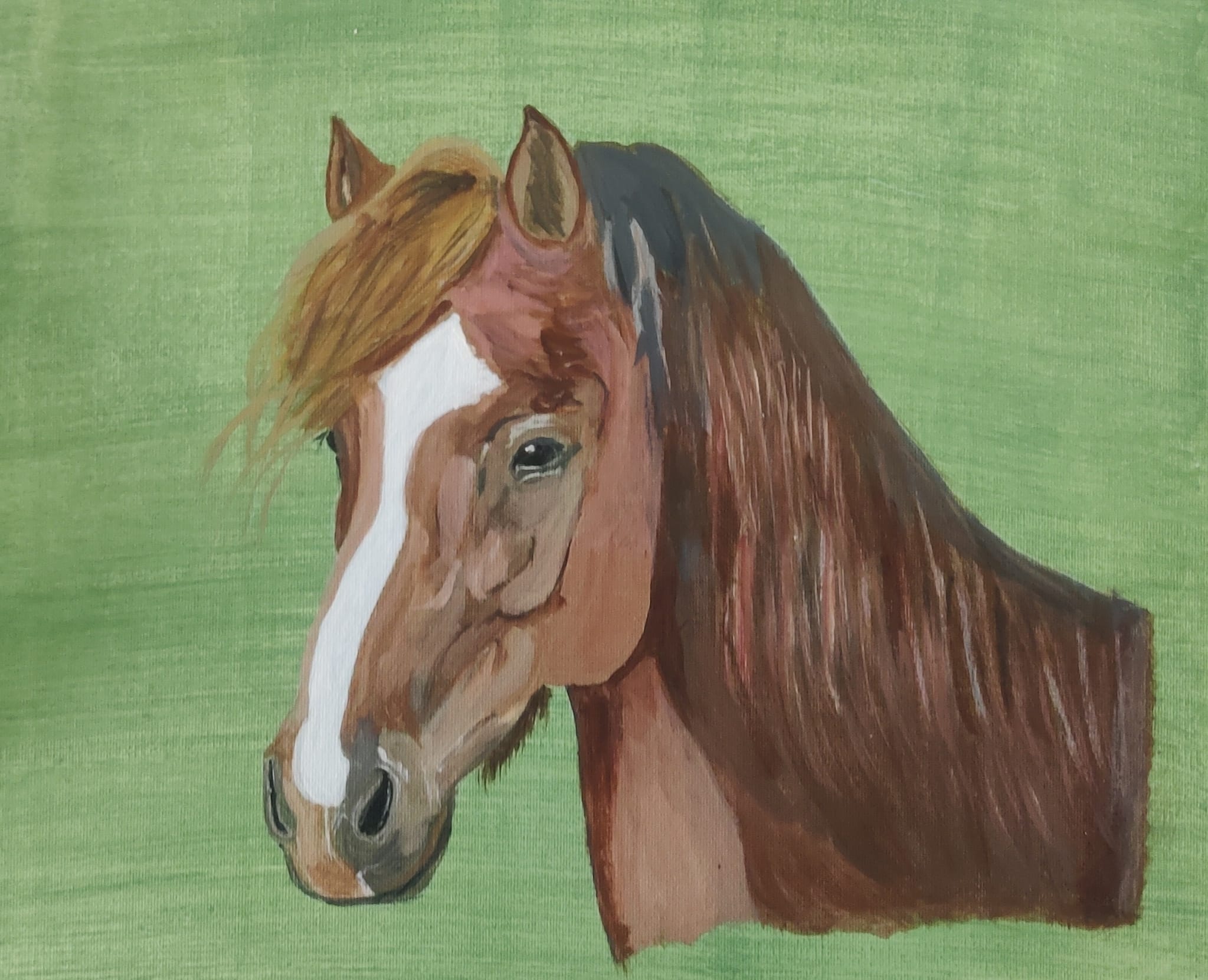 Lovely Brown Horse