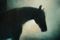 'Horse In The Rain'
