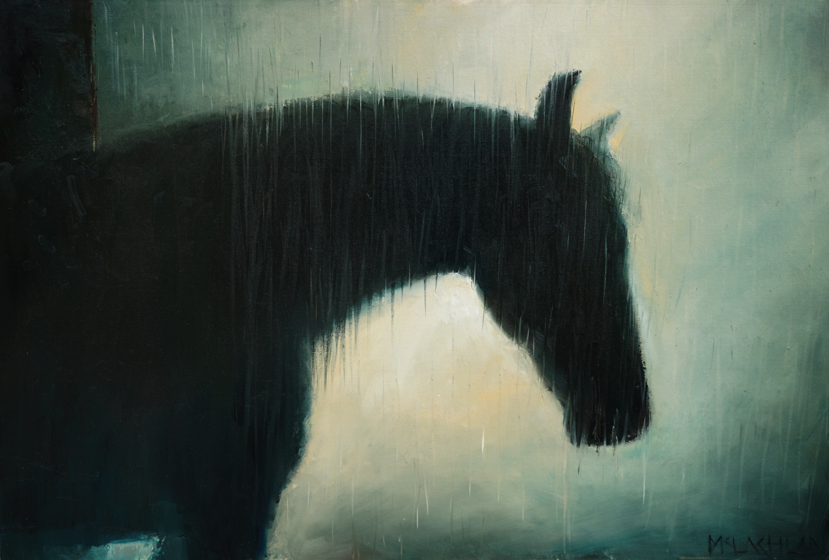 'Horse In The Rain'