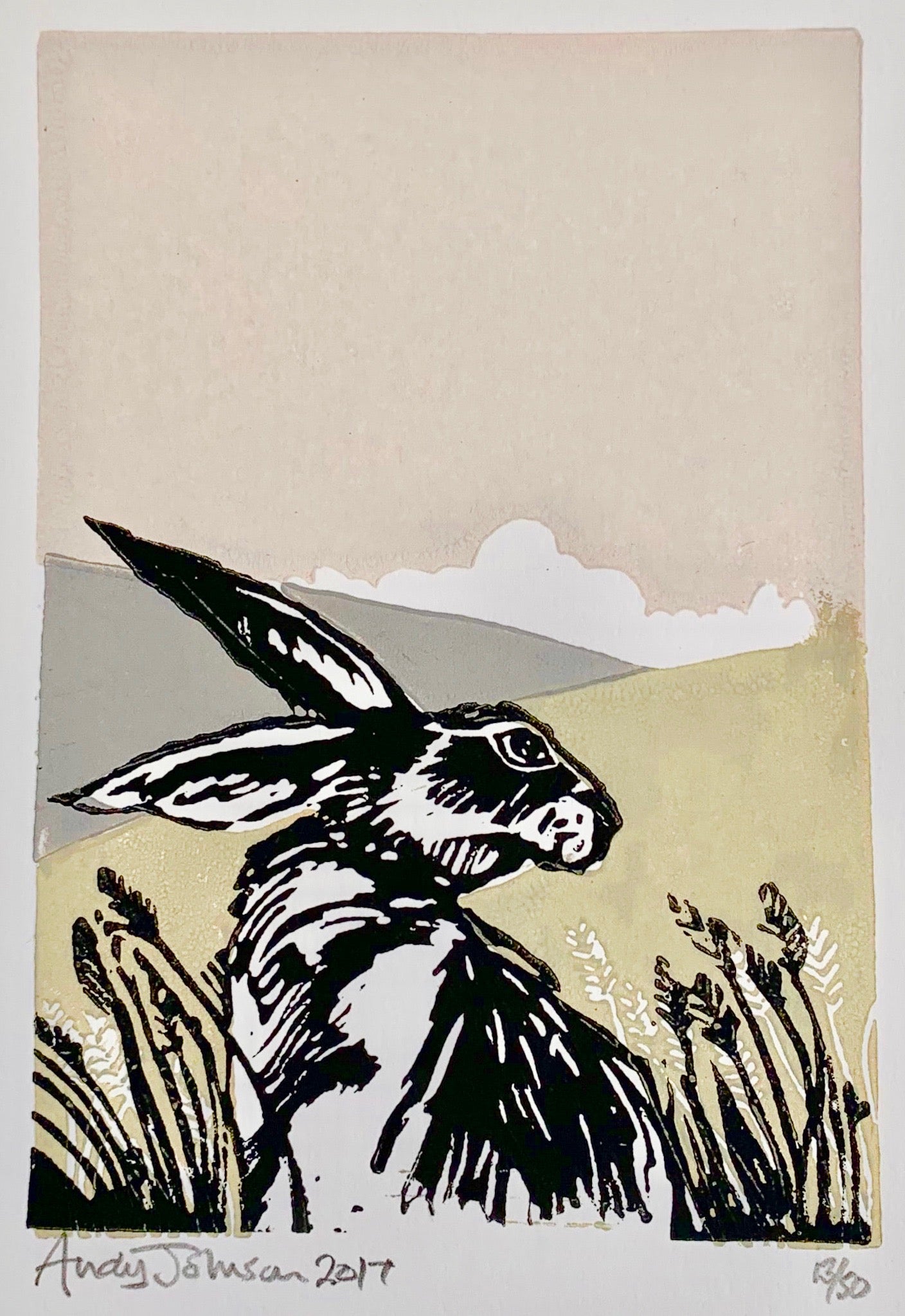 Hare