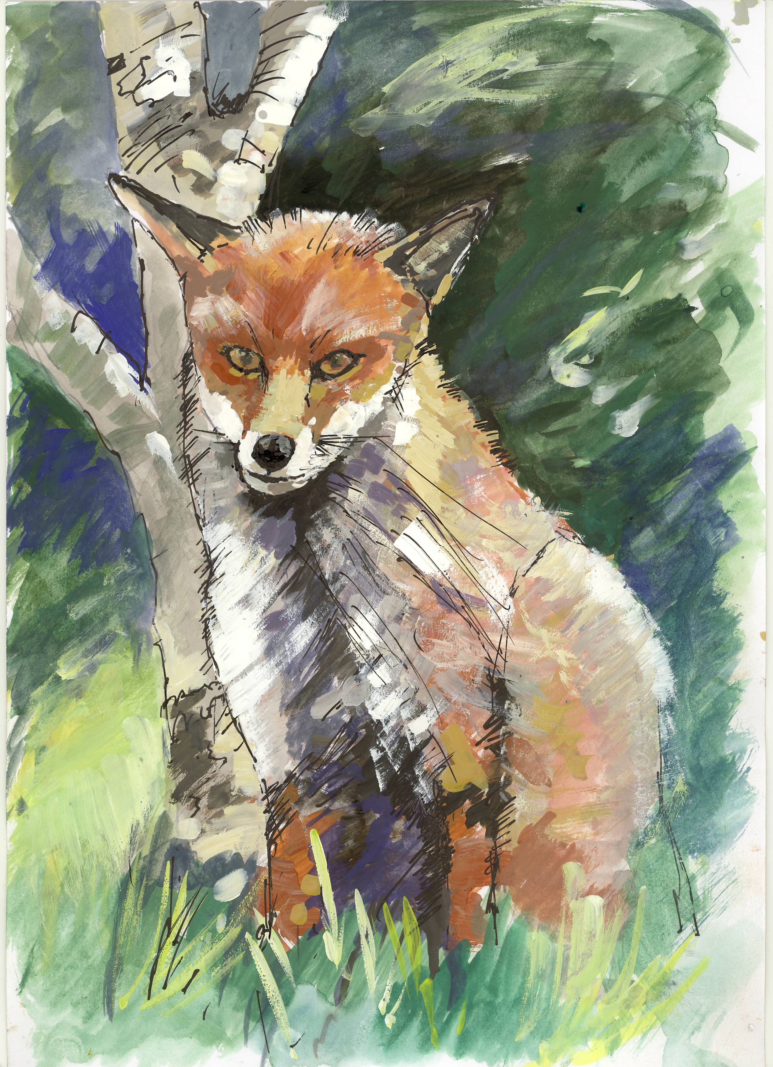 Rutland Fox