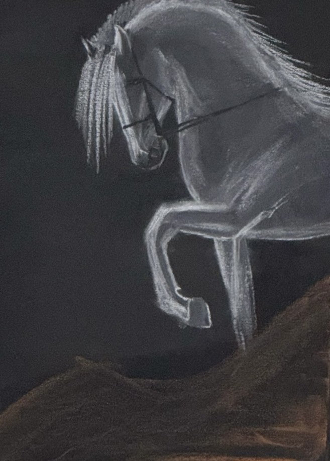 The shadow horse