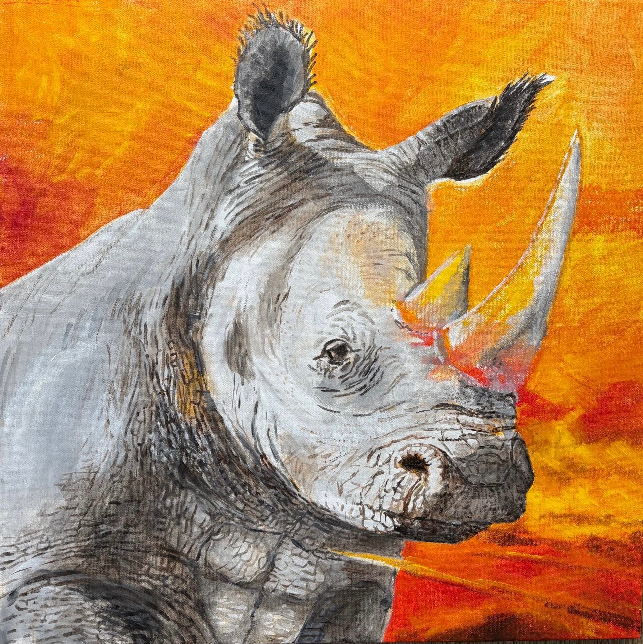Rhino