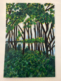 Undergrowth and light