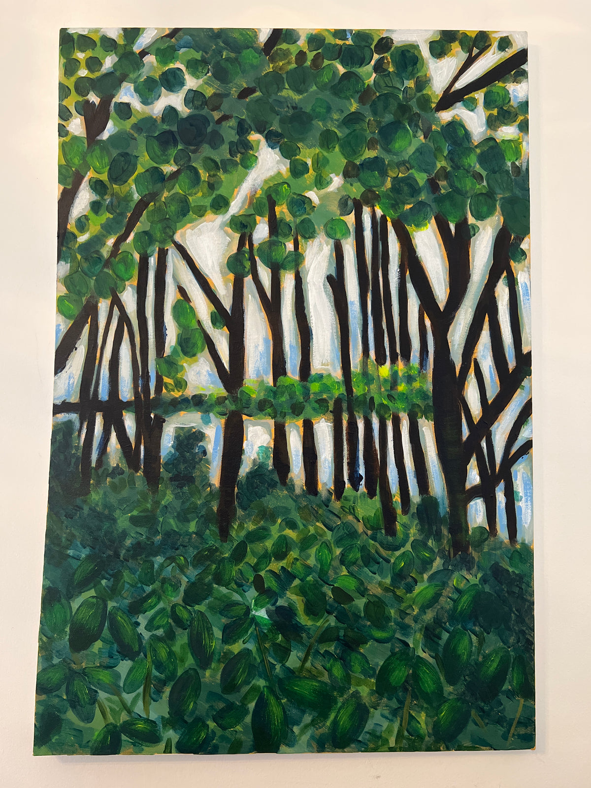Undergrowth and light