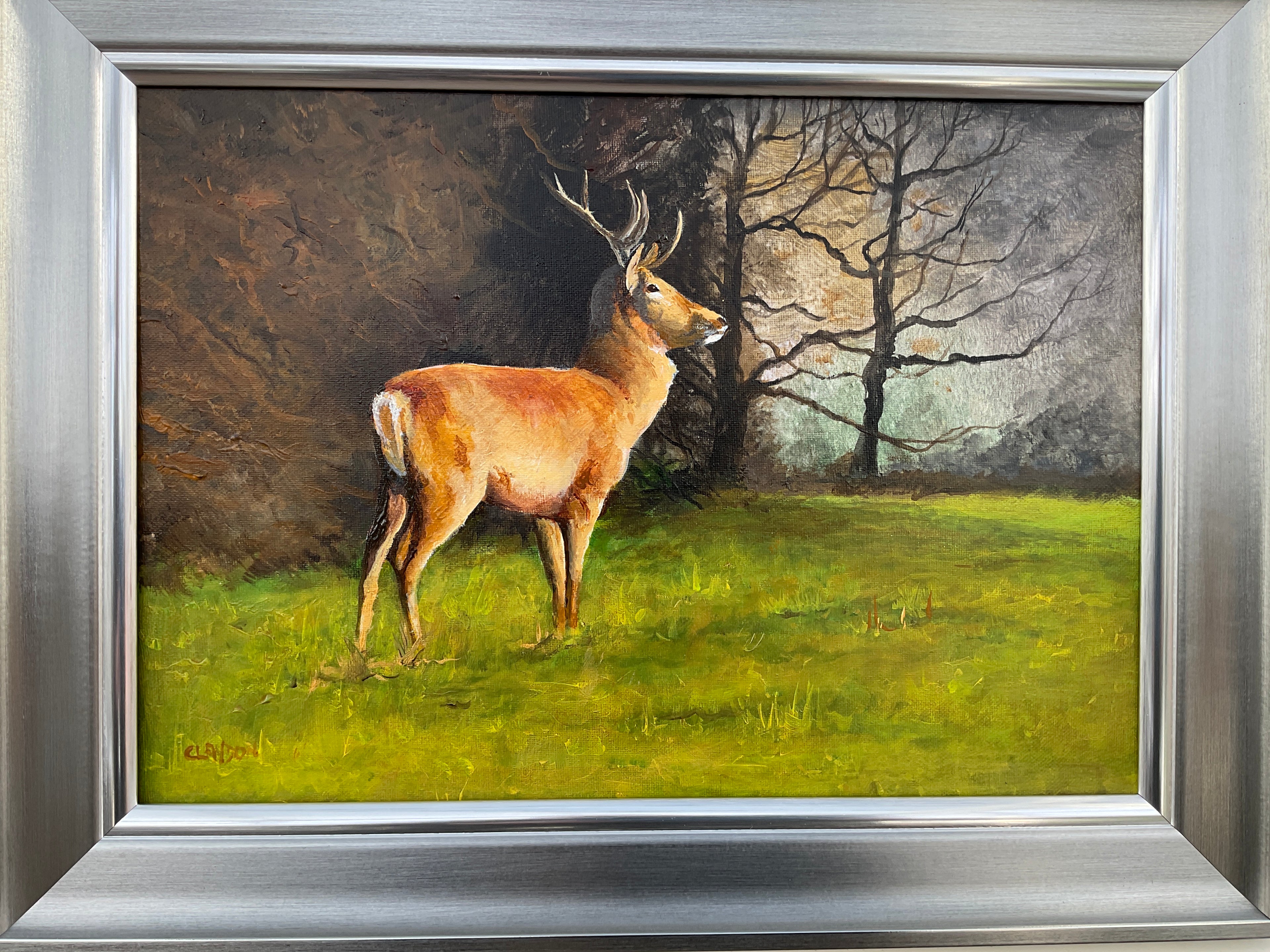 Red Deer