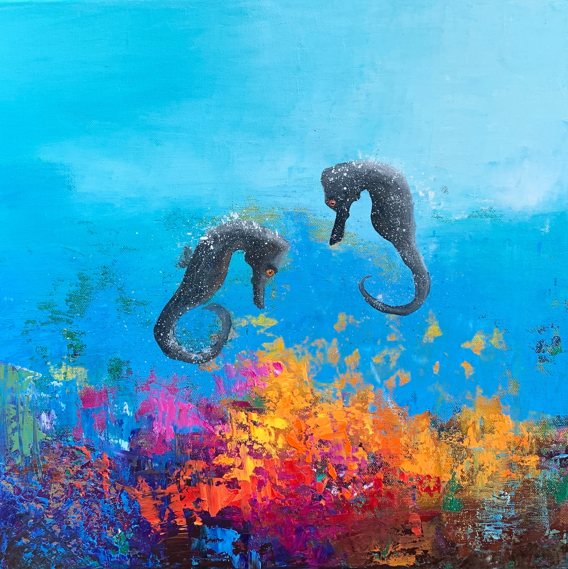 Two Long snout Seahorses in the Reef