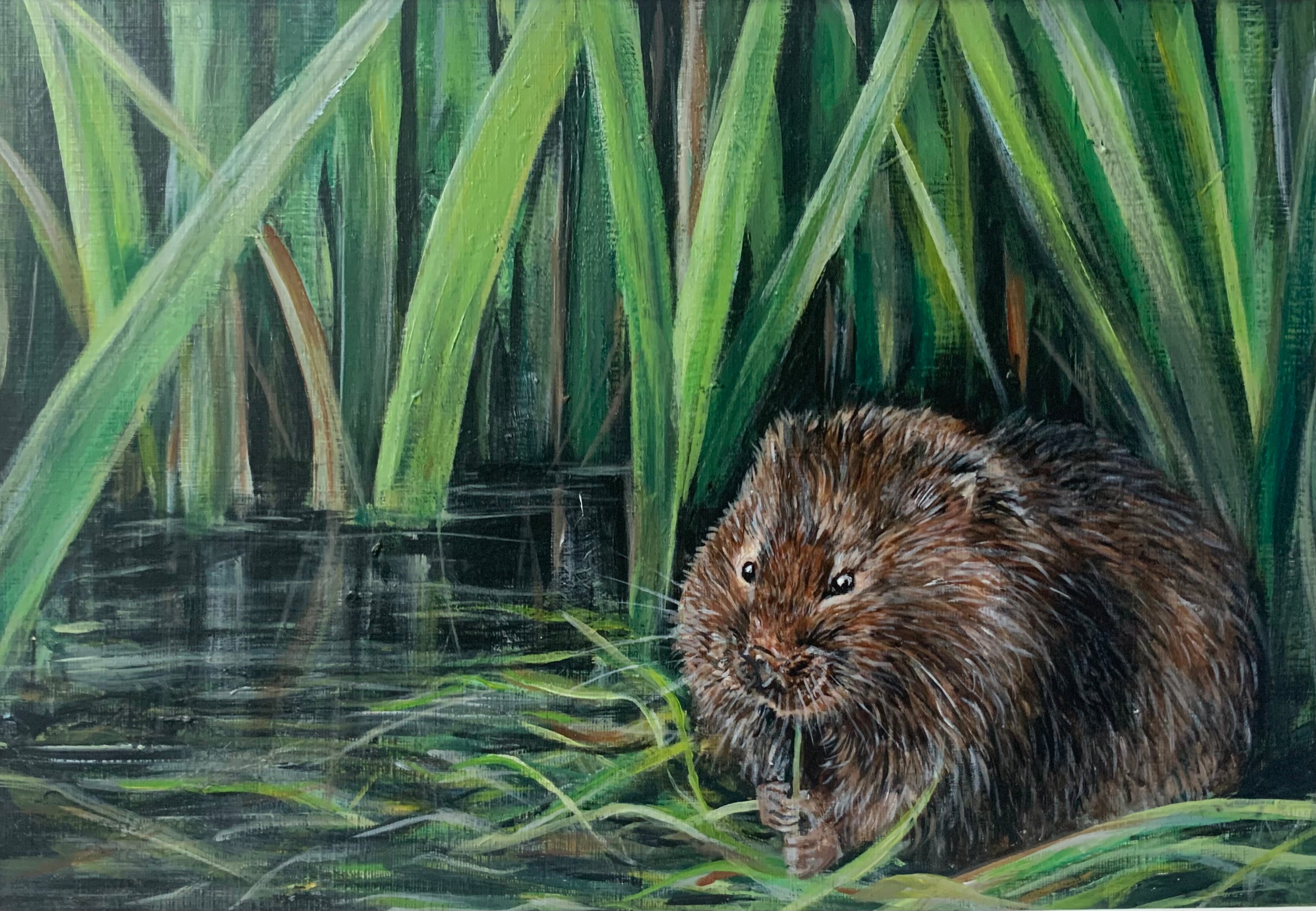 WaterVole