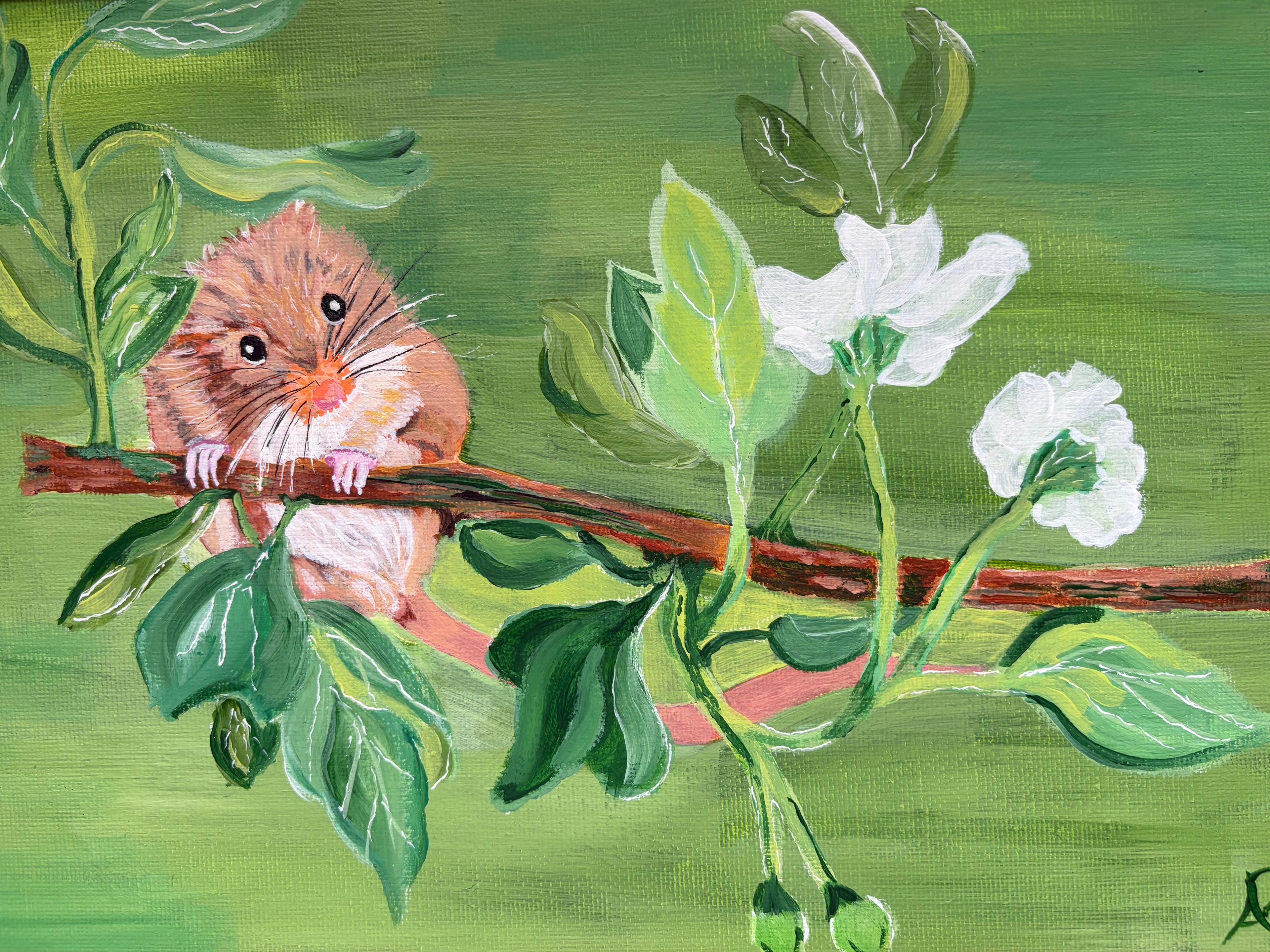 A Dormouse Hanging Out