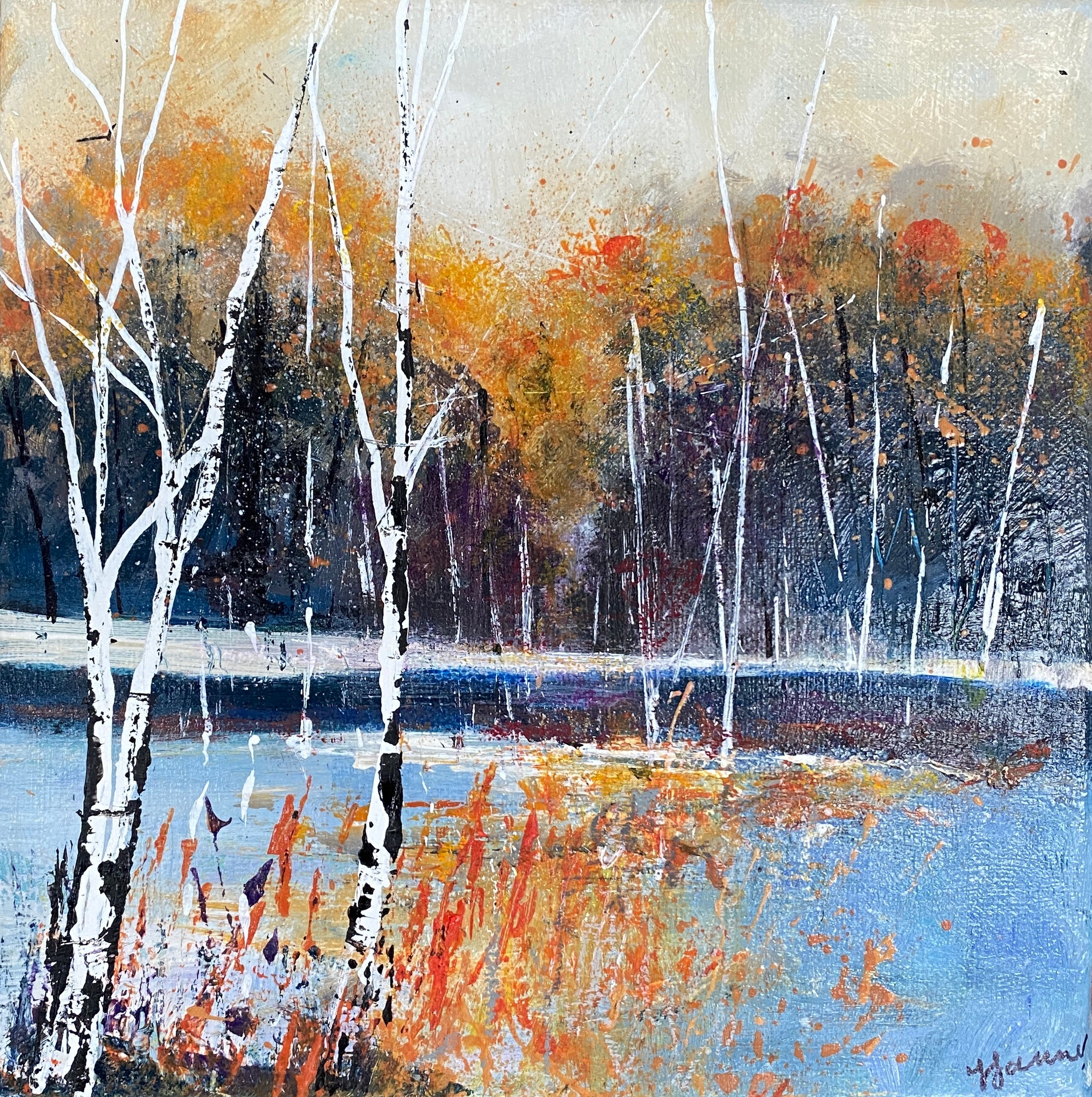 Winter Silver Birch Trees