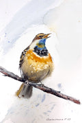 Bird on a branch
