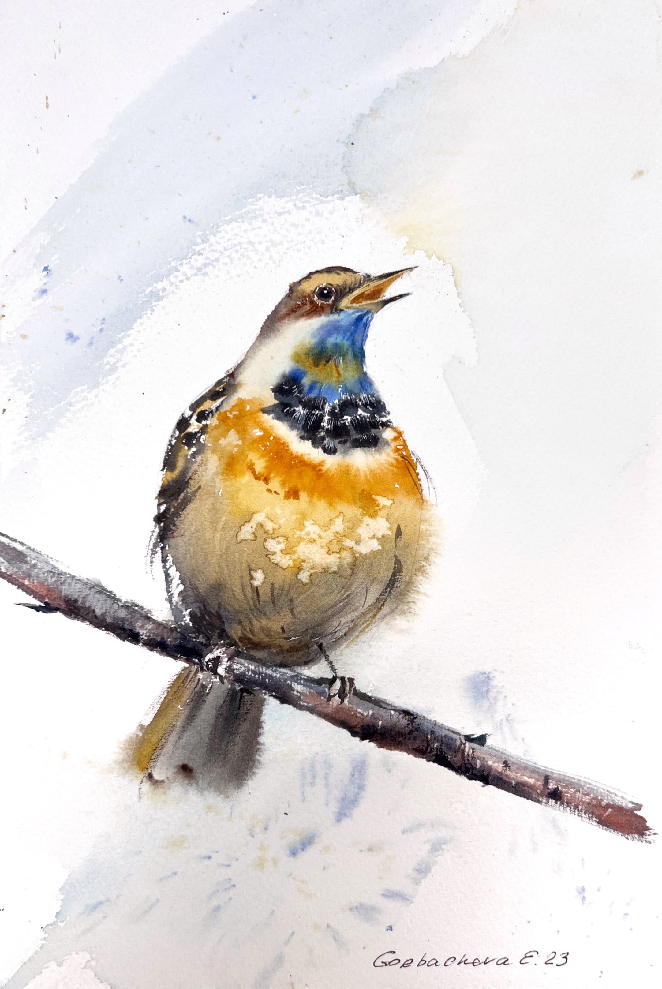 Bird on a branch