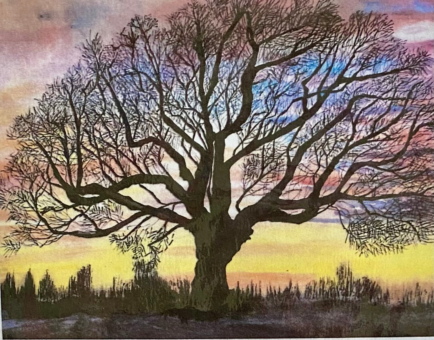 Gilwell oak