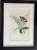 Lilac with butterfly