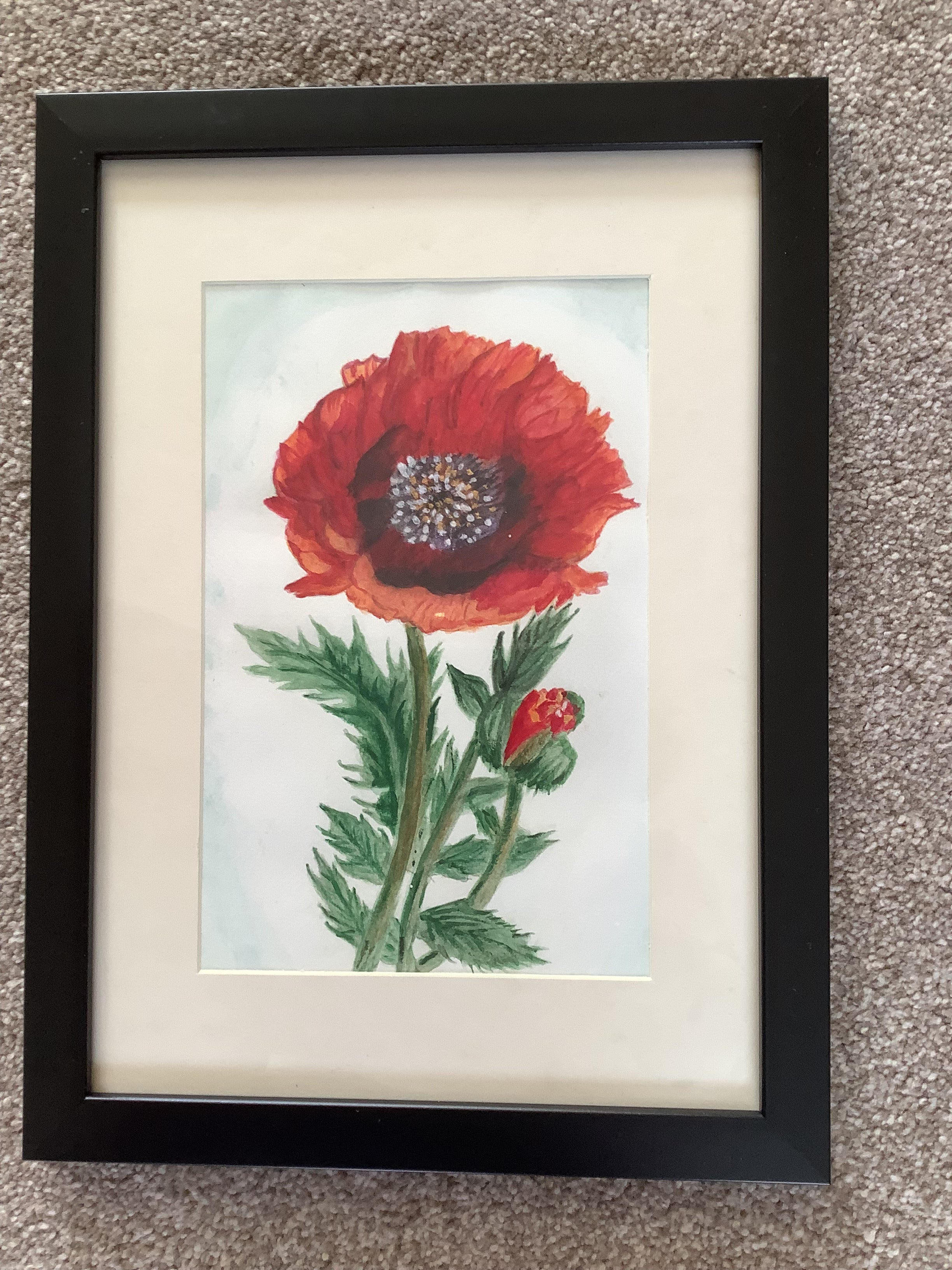 Poppy