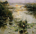 Waterlily
