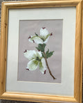 Dogwood blossom
