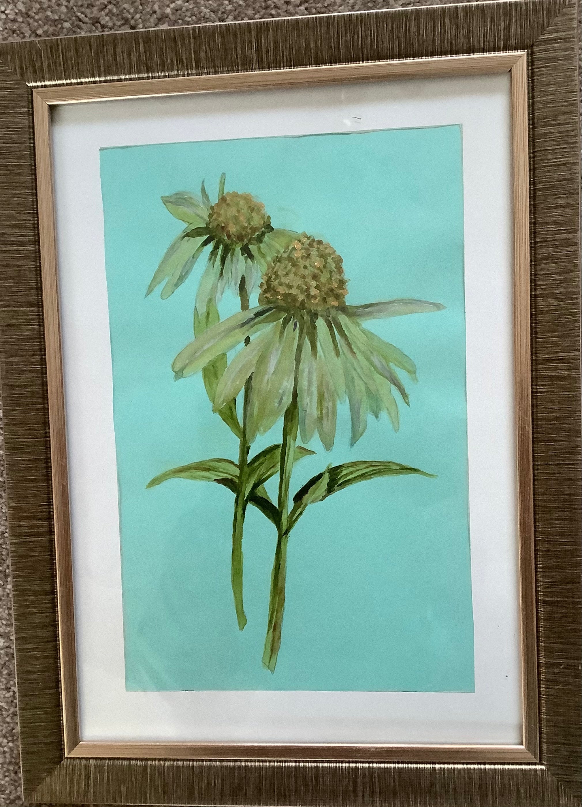 Cornflower