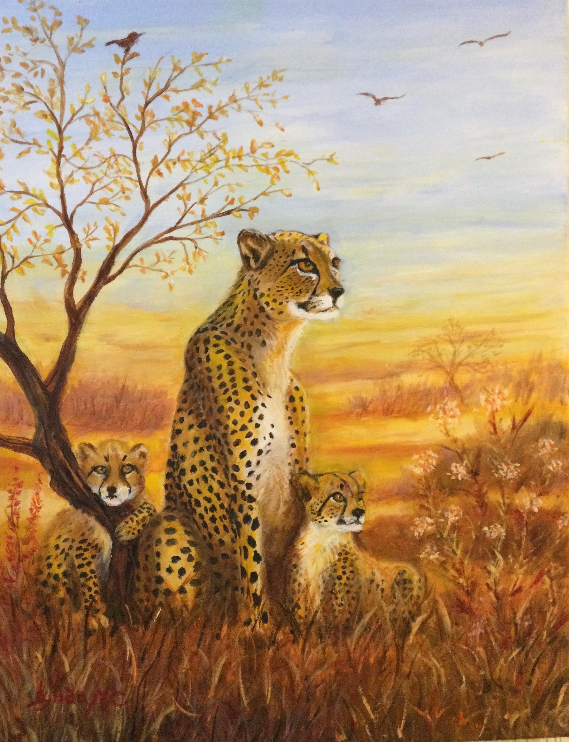 CHEETAH FAMILY