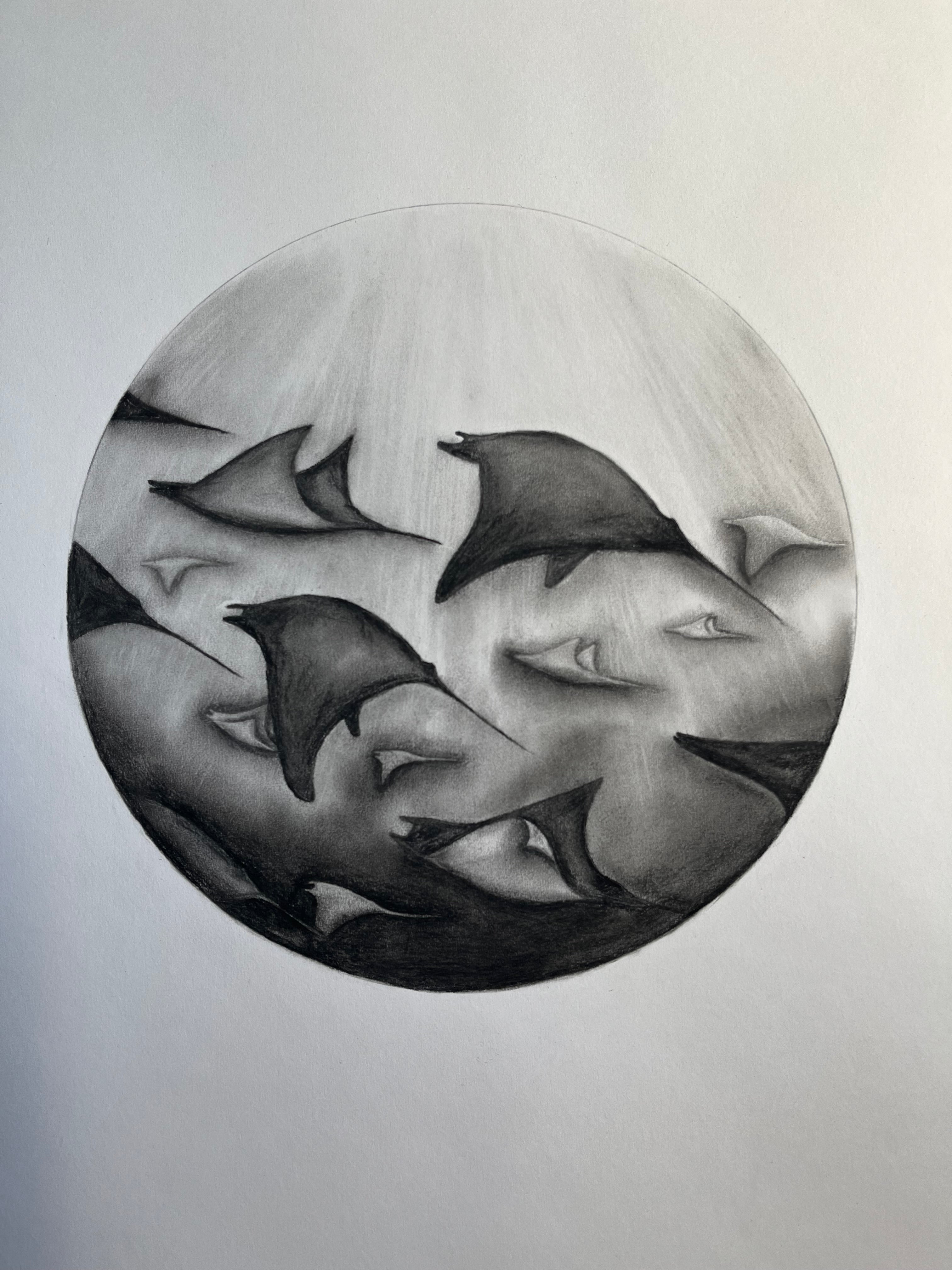 Mobula Rays