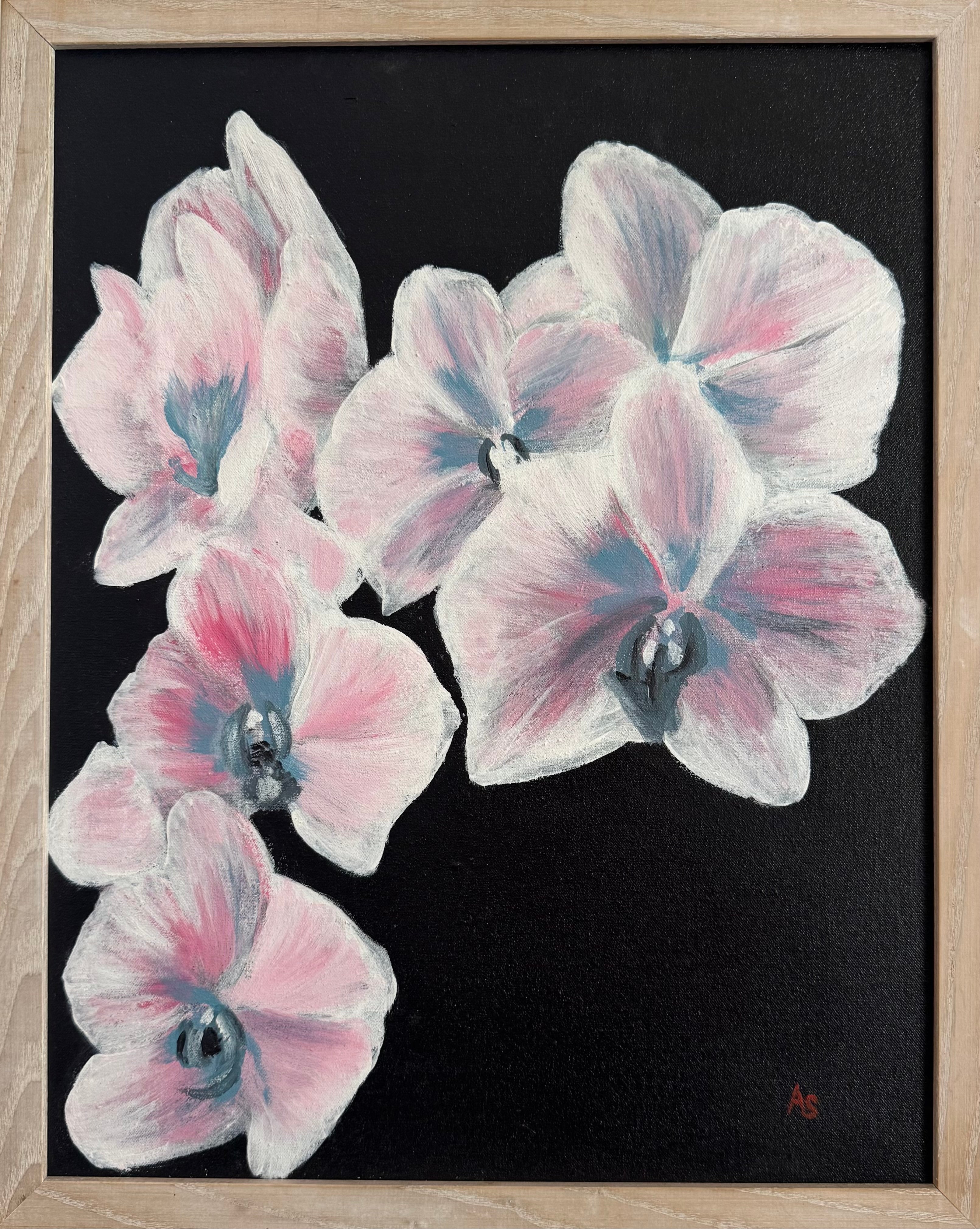 Orchids