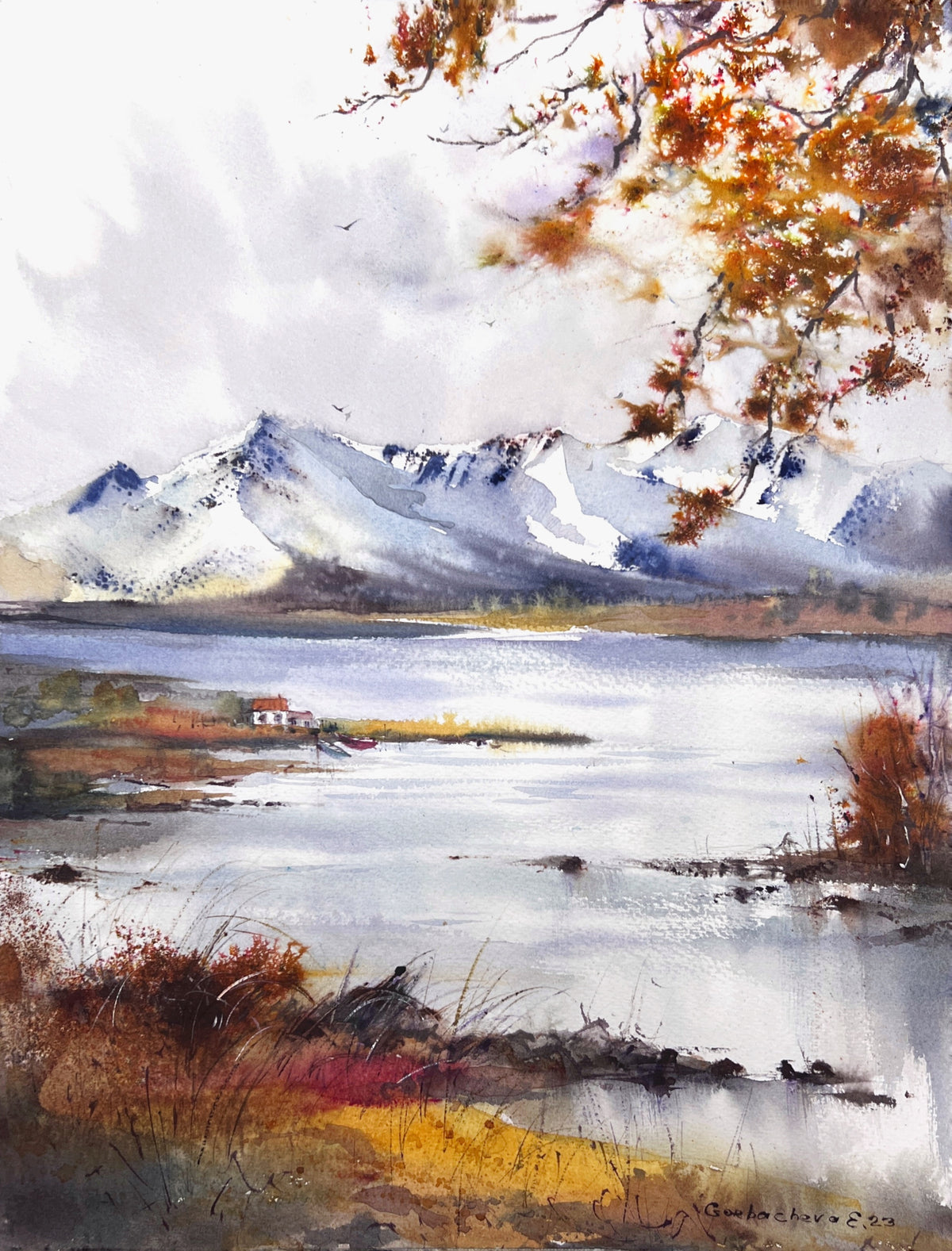 Mountain Lake #28