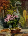 Nerines