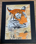 Watercolour swimming tiger frosty
