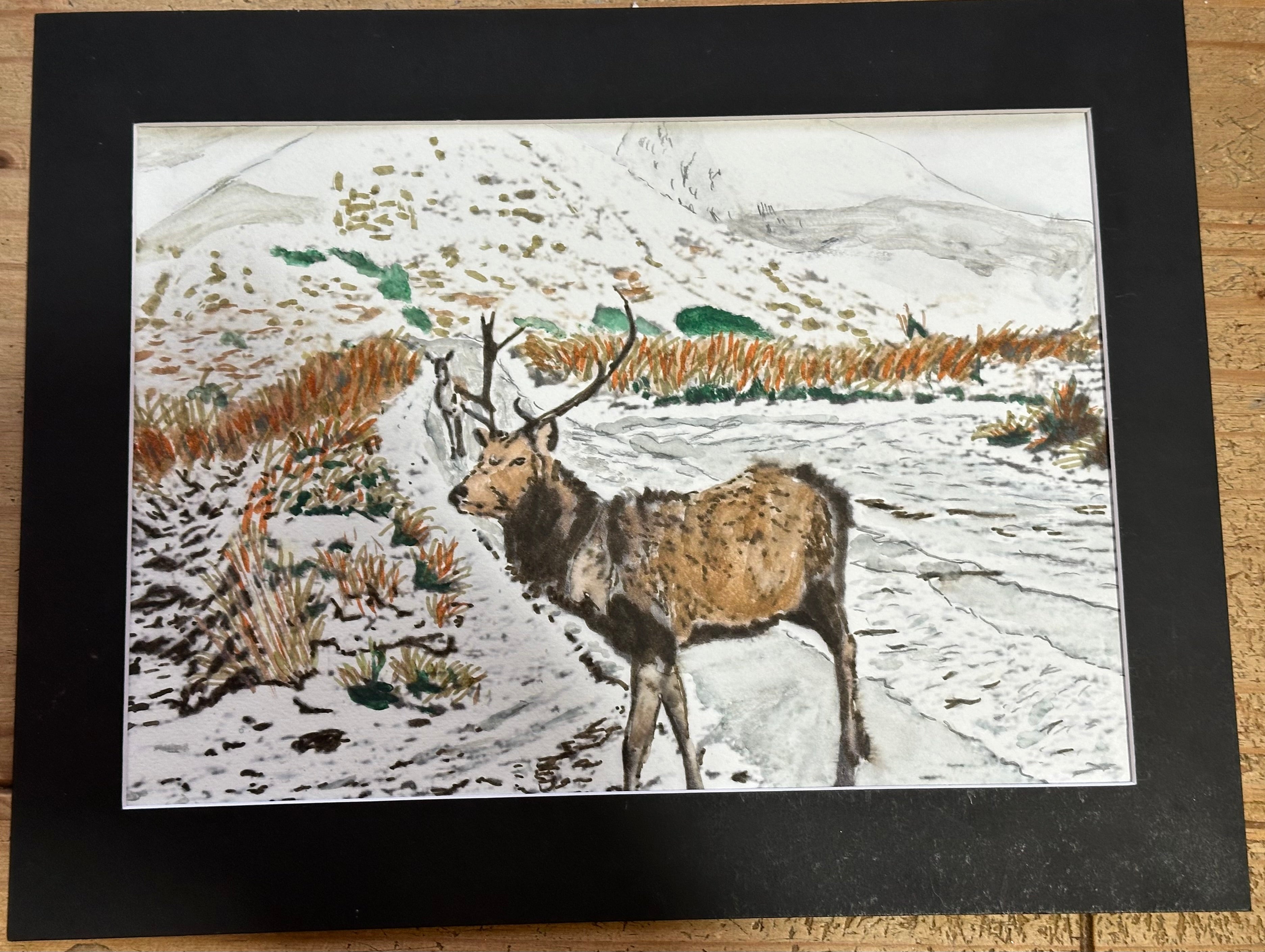Stag on a snowy Glencoe